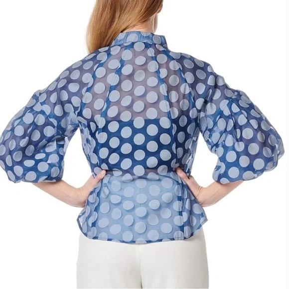 *NWT Gracie Sheer Polka Dot Paneled Button Up with Puff Sleeve Blouse Blue Large - Picture 2 of 4